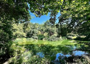 un des innombrables "tableaux paysagers" qui composent les Jardins de Kerdalo. Ici, vue d'un étang avec la végétation luxuriante tout autour qui se reflète à la surface. Nous avons là toute une palette de verts.